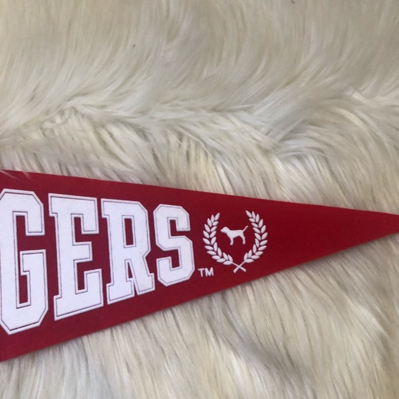 NWT Rare Victoria Secret PINK Badgers Pennant Flag - Picture 4 of 5